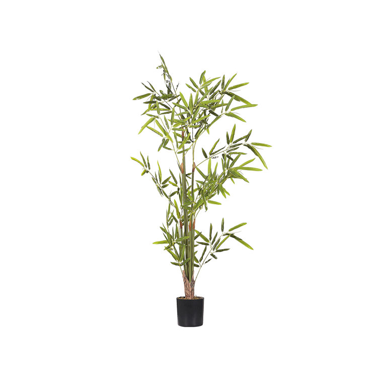 The Seasonal Aisle 100Cm Faux Bamboo Tree in Cement Pot Wayfair.co.uk